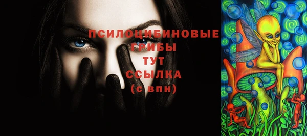 шишки Баксан