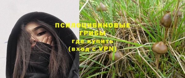шишки Баксан