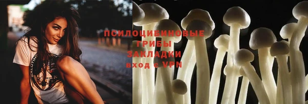гидропоника Балахна