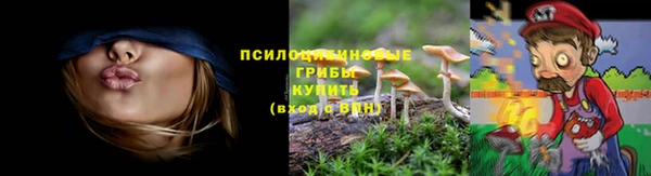 каннабис Михайловка